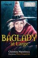 Baglady At Large BookcoverMarquee