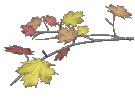 AutumnLeaves